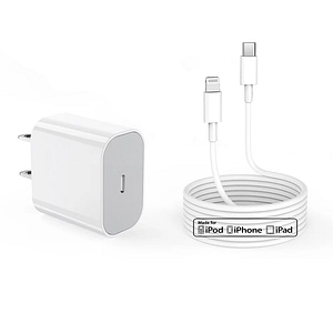 iPhone charger w/ Wall Adapter